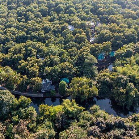 Brook Ville Szaszan Gir Kültér fotó