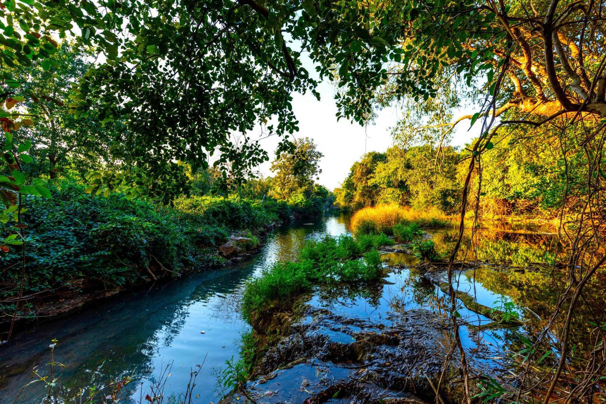 Brook Ville Szaszan Gir Kültér fotó