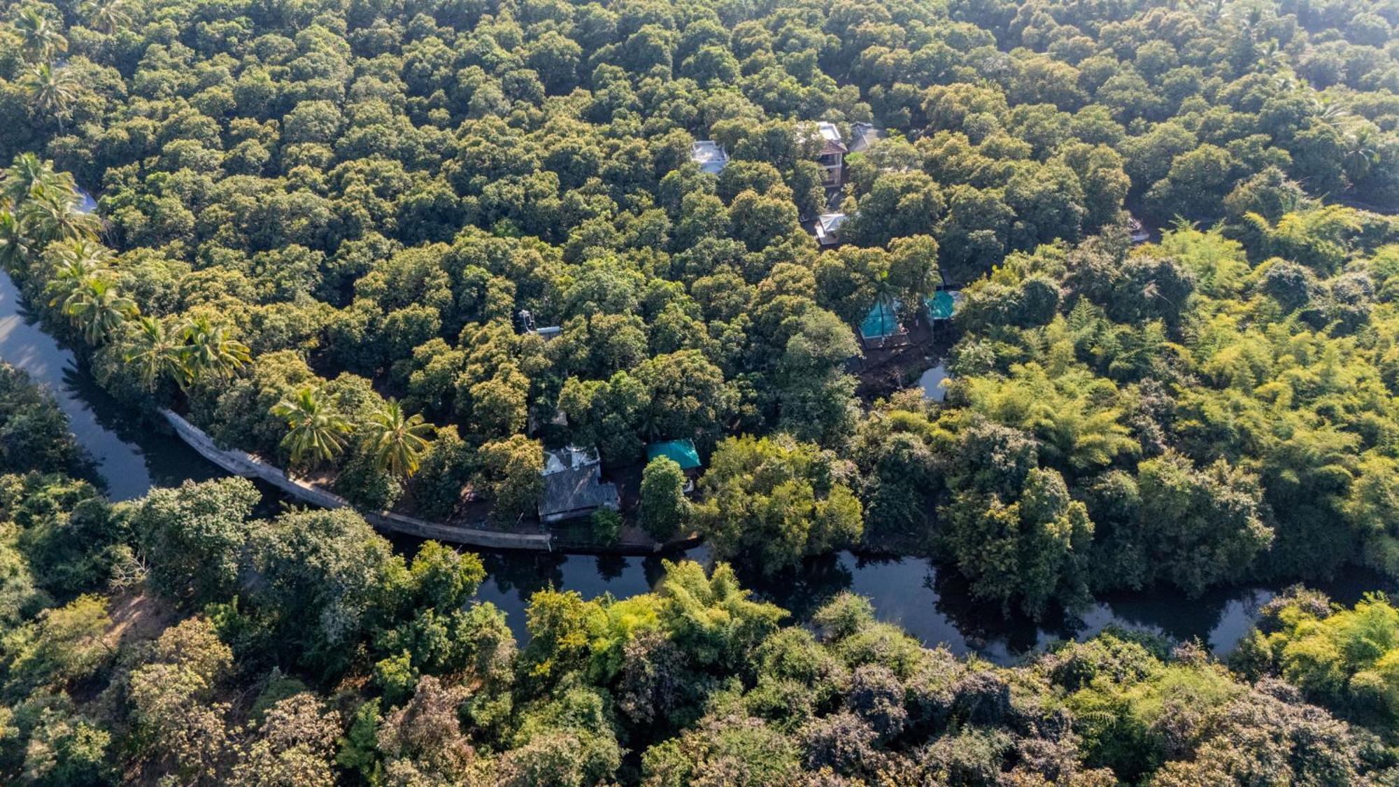 Brook Ville Szaszan Gir Kültér fotó